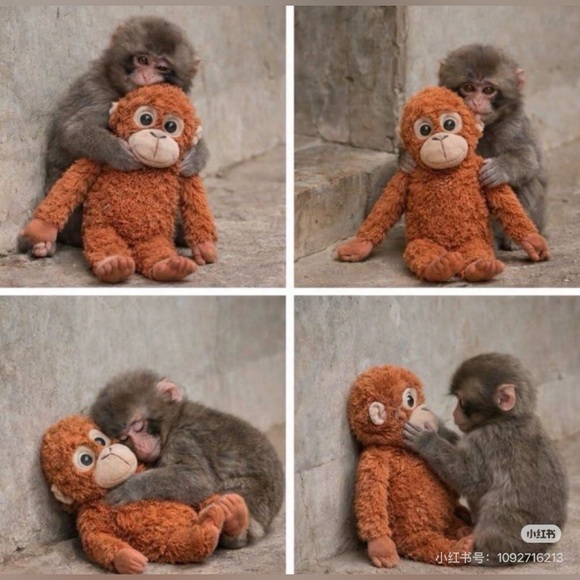 IKEA DJUNGELSKOG Orangutan Plush Viral Stuffed Animal Plushie 24” Punch Monkey - Picture 3 of 5